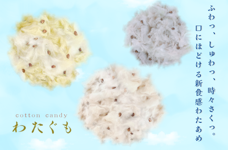 https://gigaplus.makeshop.jp/sora2024/item/brownie/brownie_banner.jpg