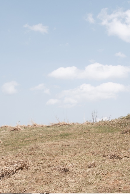 otherのイメージ