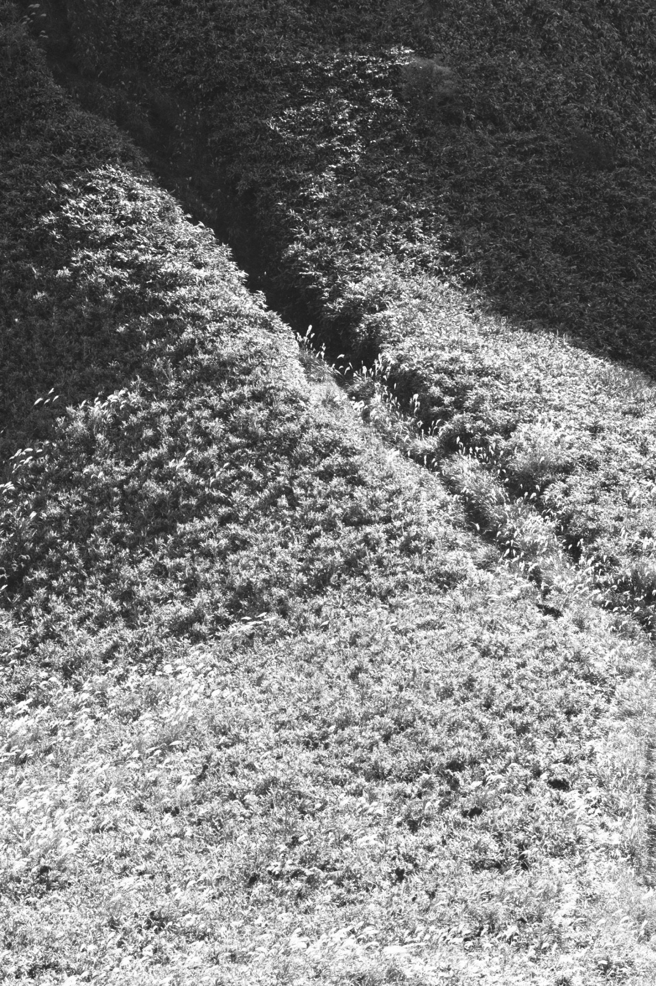 brand conceptのイメージ