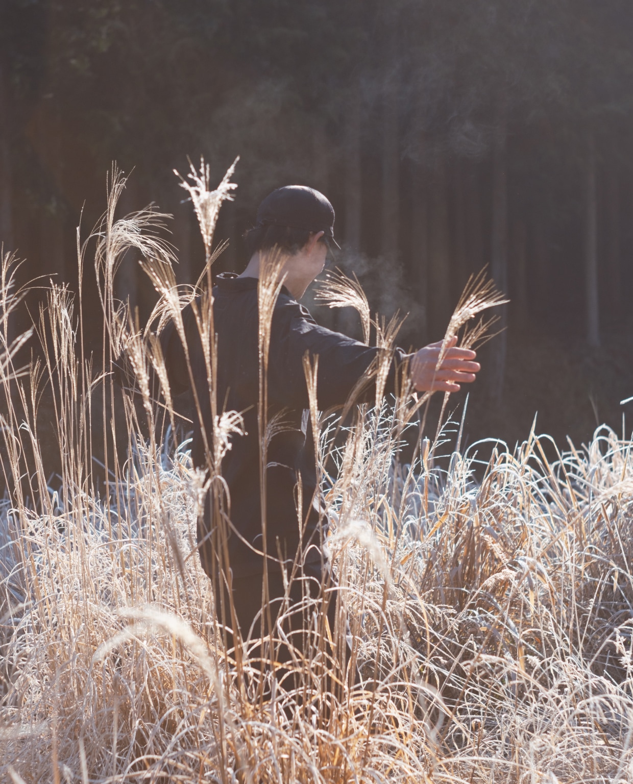 switch onのイメージ