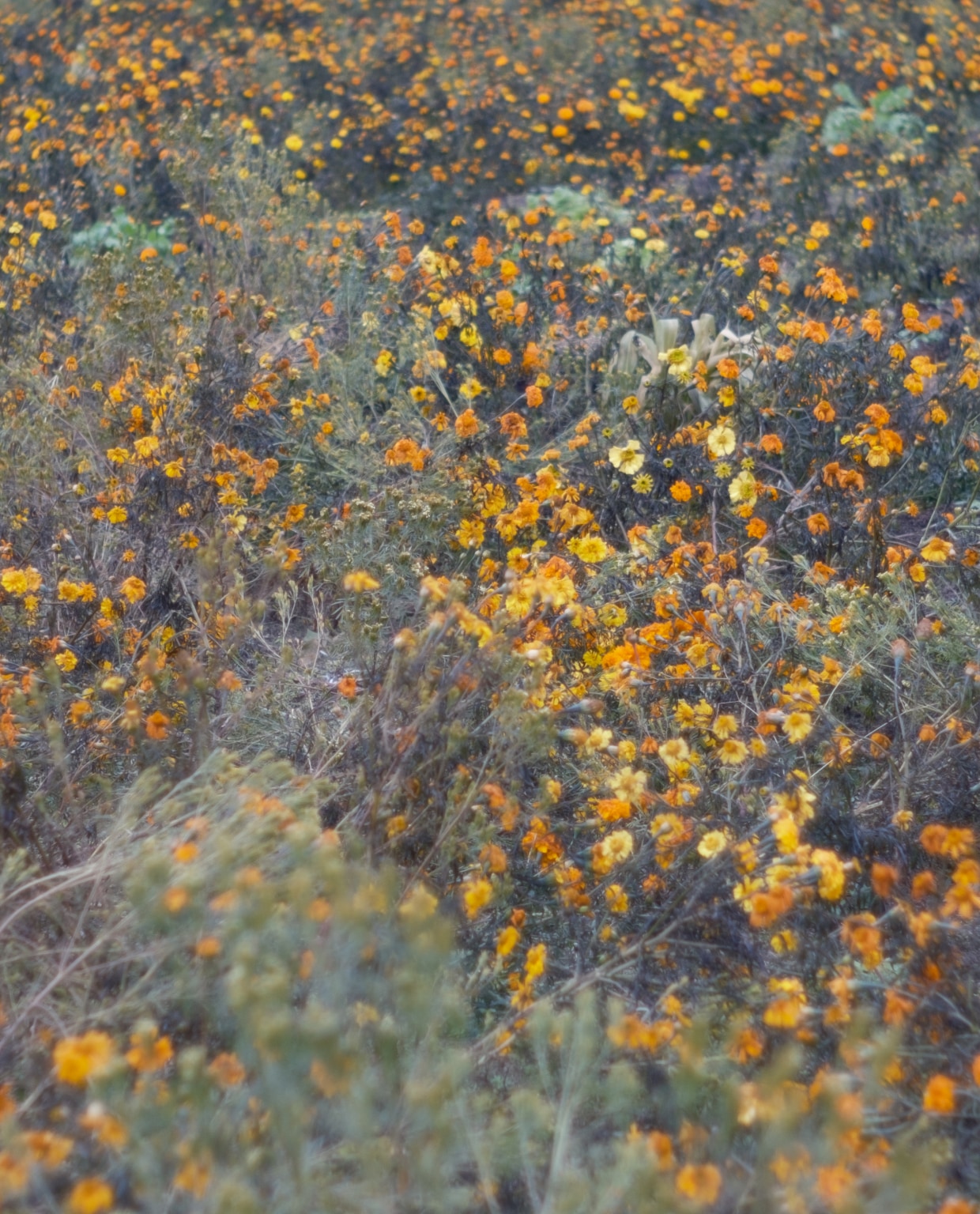 touch natureのイメージ