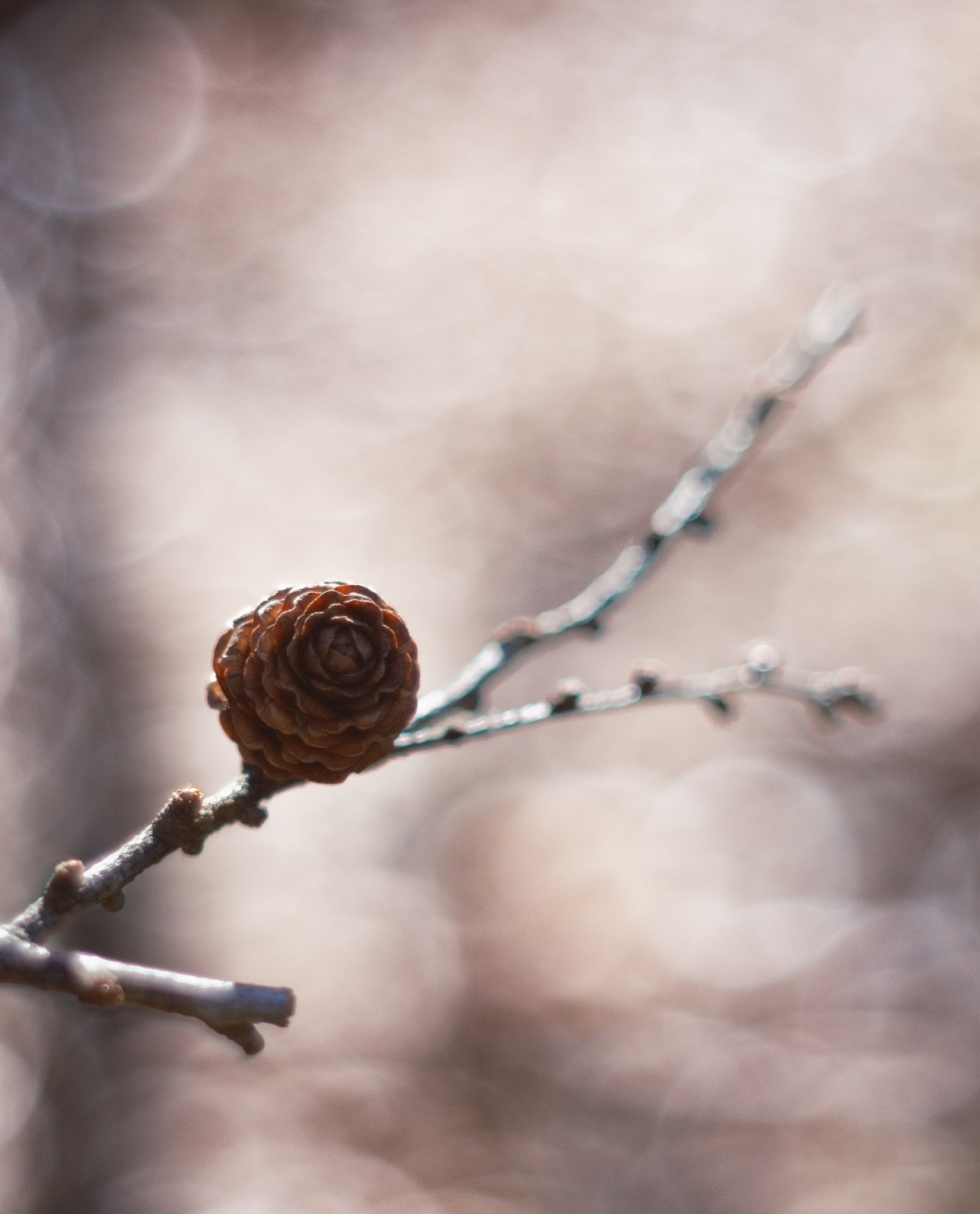 for kids & babyのイメージ