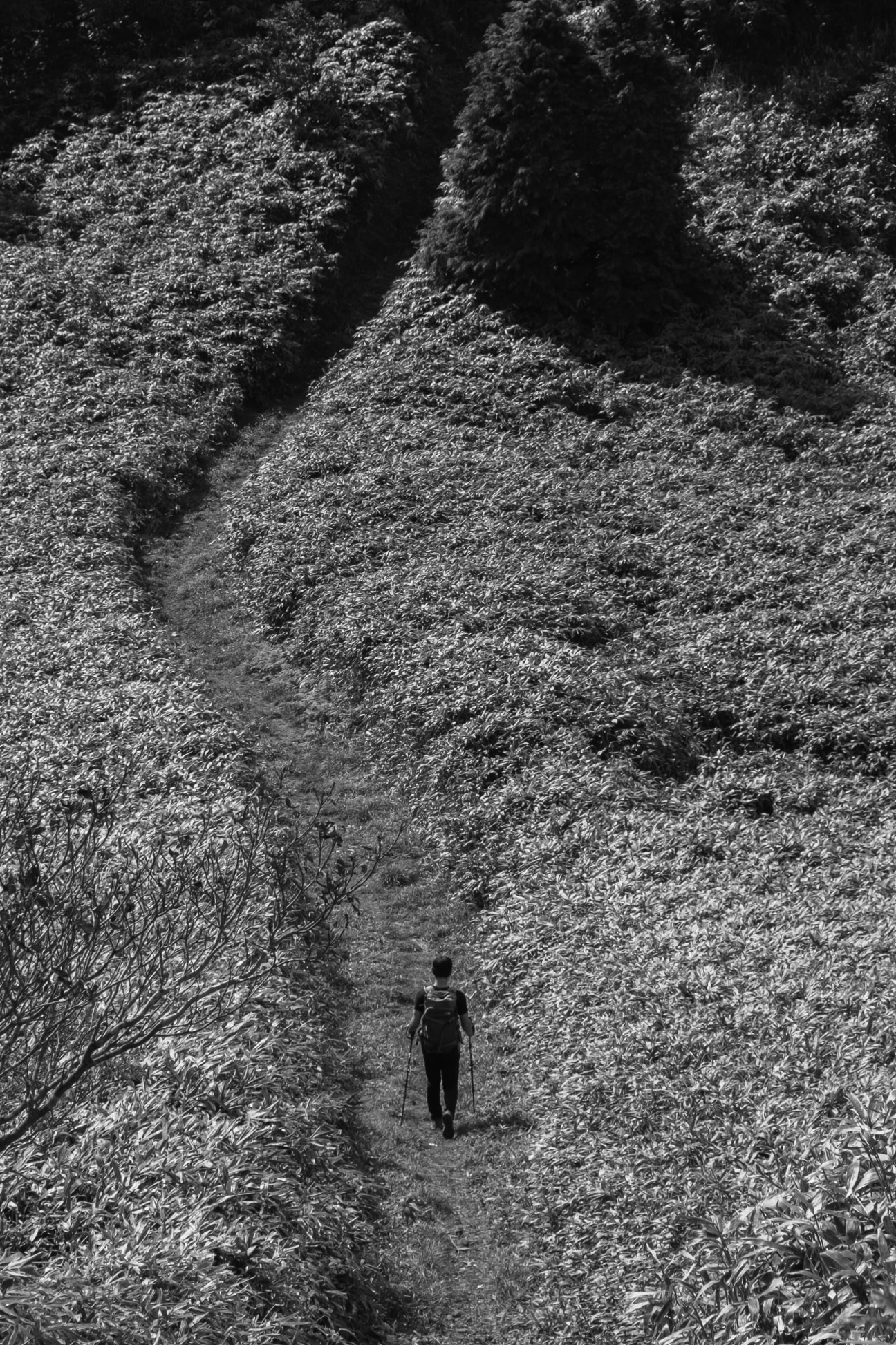 product storyのイメージ