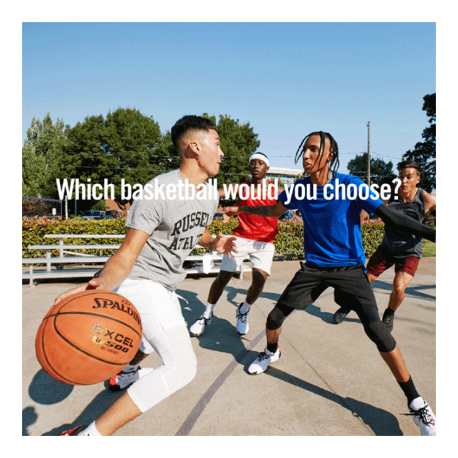 Which basketball would you choose?
