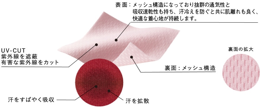 ֥̥ BOX LOGO T-SHIRT