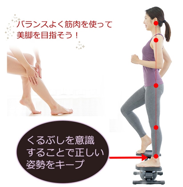 エアロステッパー正規品】エアロステッパー SP-500 (30日間返金保証/5