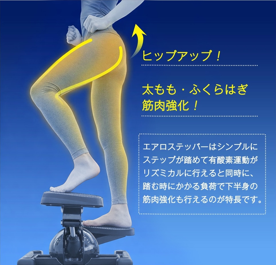 エアロステッパー正規品】エアロステッパー SP-500 (30日間返金保証/5