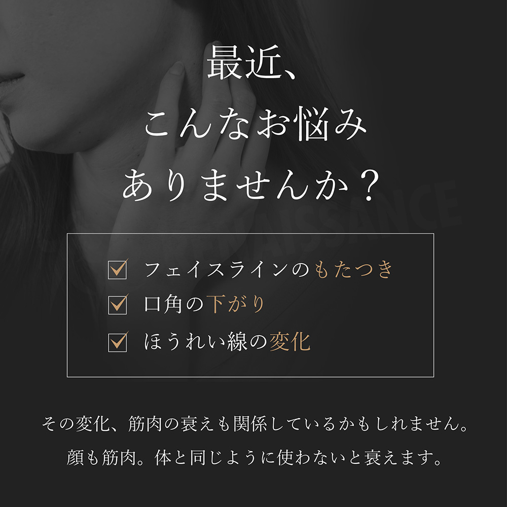 スタイリーフェイスpetit