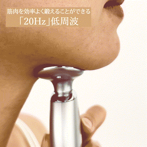 スタイリーフェイスpetit
