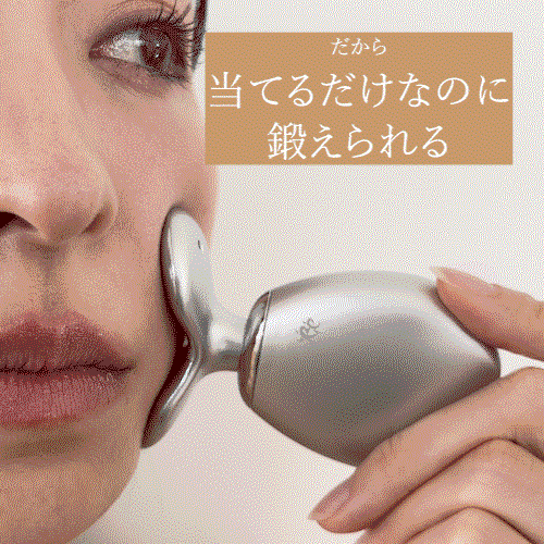 スタイリーフェイスpetit