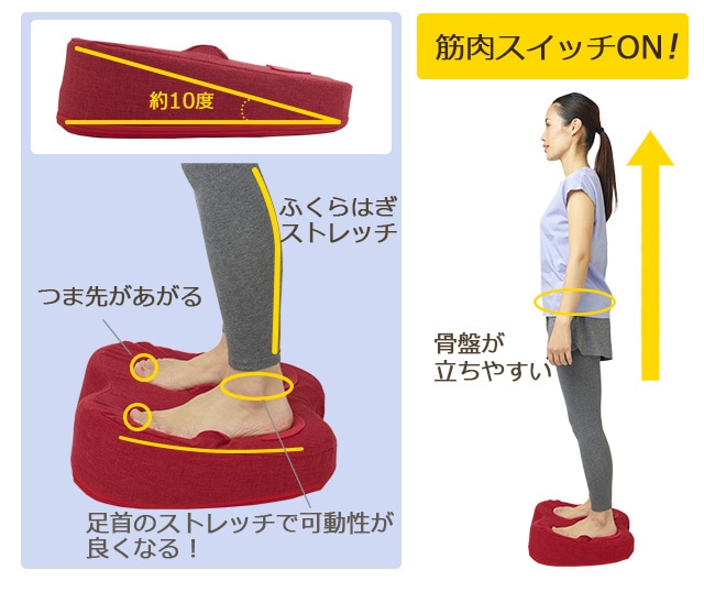 ふみトレステッパー|東急スポーツオアシス公式通販