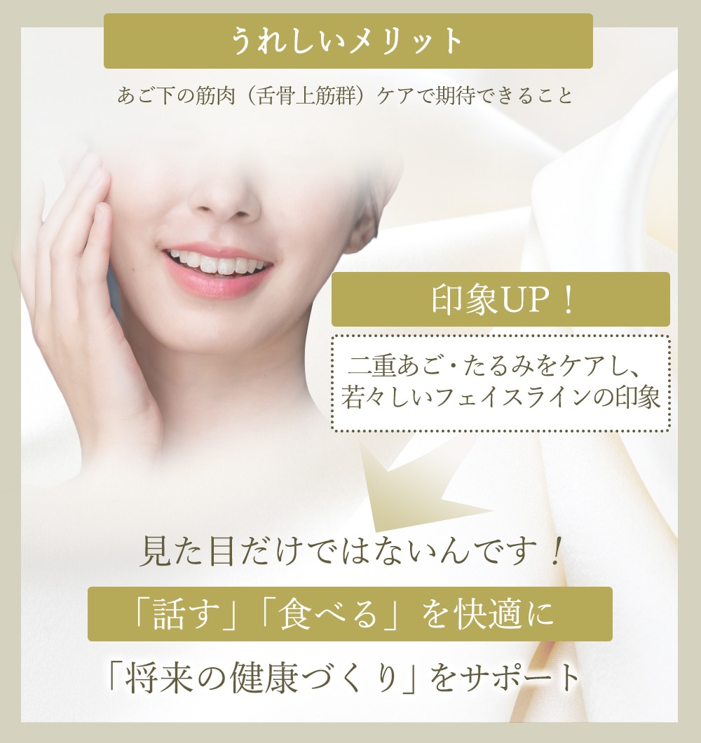 スタイリーフェイス|ルネサンス公式通販