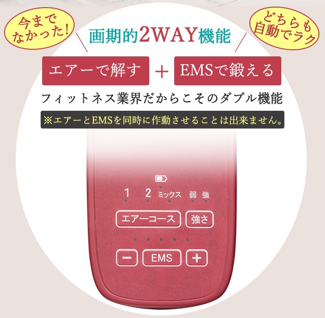 EMSオートプログラムV 面倒