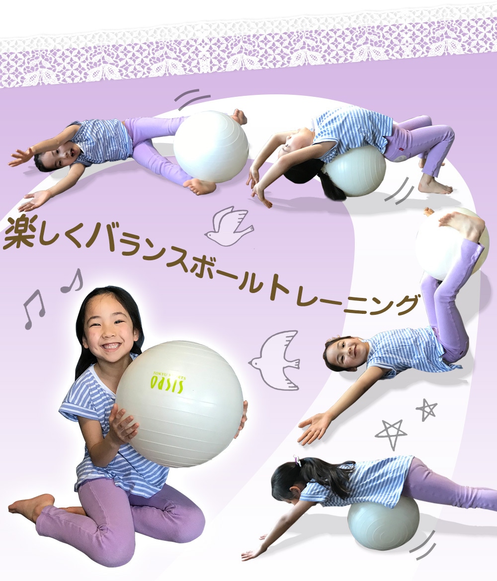 TAIKAN YOGA BALL δ襬ܡ륭å