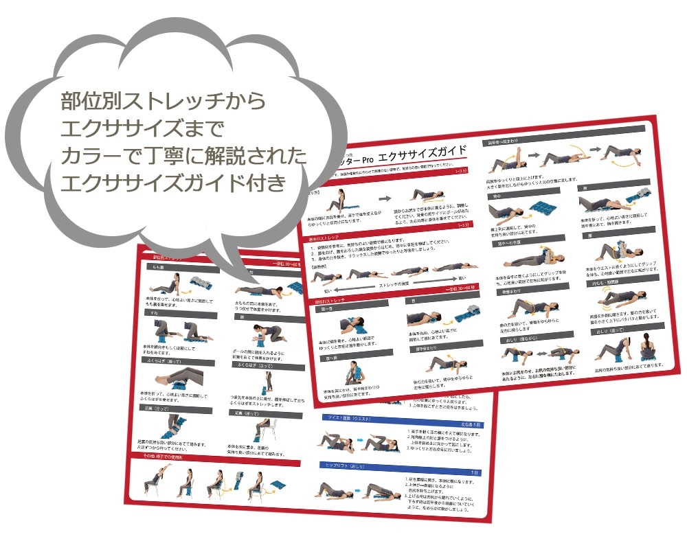 ���塼�ե��å���Pro