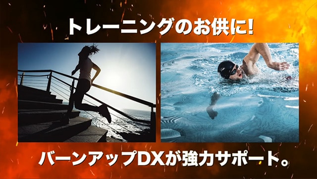 新品未開封　バーンアップデラックス　6個セット 機能性表示食品】バーンアップDX – 株式会社ルネサンス 公式オンライン