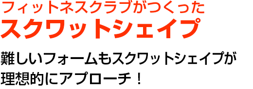 フィットネスクラブがつくった スクワットシェイプ