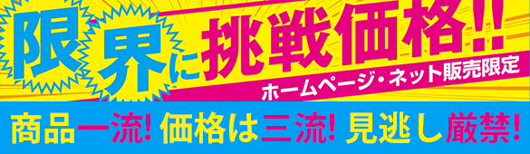 限界に挑戦価格