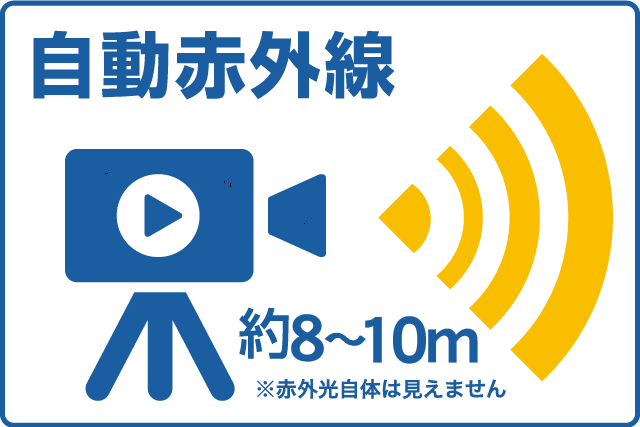 ��ư�ֳ����ȼ�