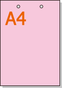 ���顼���ԡ��ѻ� A4 2�� [�ԥ�]