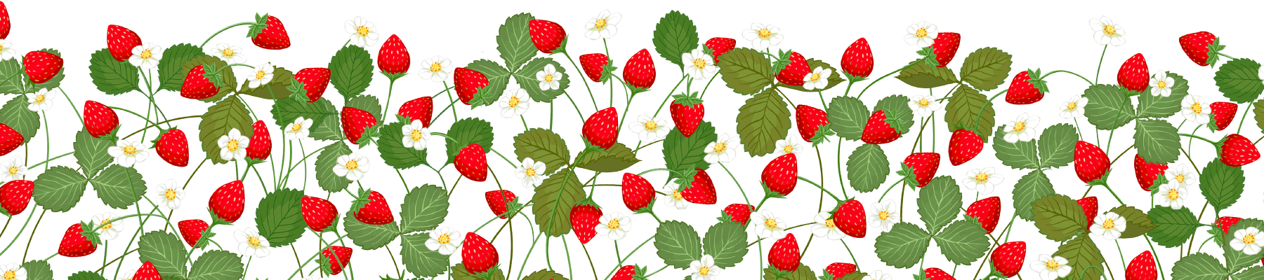 フレッシュサンドパイのフレーム下 | Coco≠Coco（ココココ）