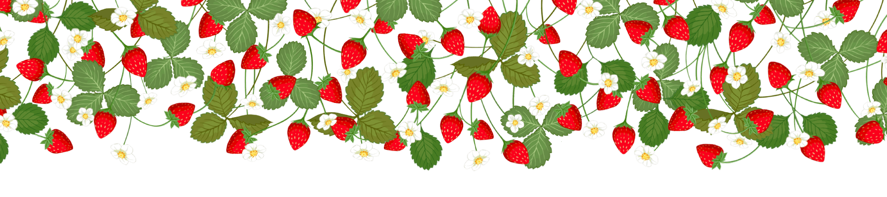 フレッシュサンドパイのフレーム上 | Coco≠Coco（ココココ）