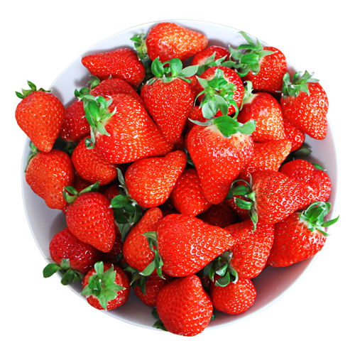 ココニコ苗　ココベリア　命名株　苺恋　いちご　札付き ココニコ苗 ココベリア 命名株 苺恋 いちご 札付き 楽天市場】イチゴ