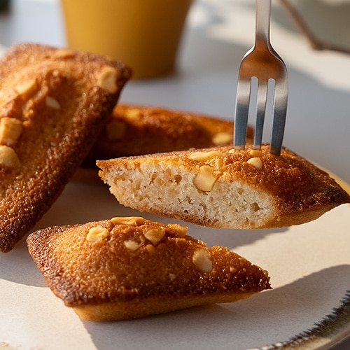 常識を打ち破るフィナンシェ | Coco≠Coco（ココココ）