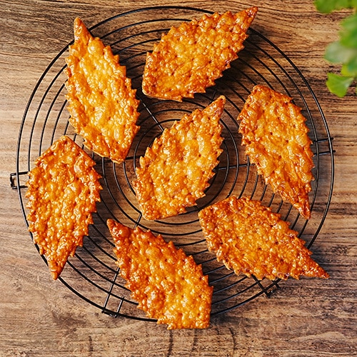 きらめきリーフ