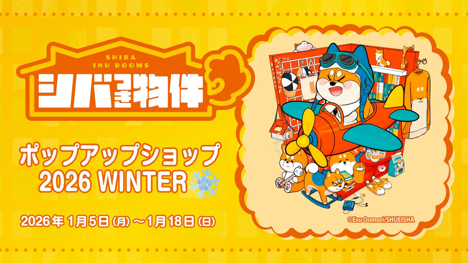 「シバつき物件」ポップアップショップ 2026 WINTER❄️