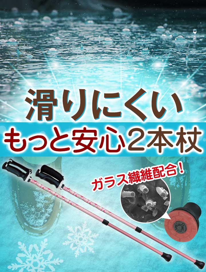 SINANO シナノ レビータ もっとあんしん2本杖 ２本組 ノルディック