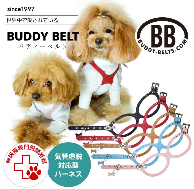 最大62%OFFクーポン スワロフスキー付 ドッグ スワロ付 バディーベルト正規輸入代理店 BB HOT BELT 胴輪 バディベルト レザー  2.5号 BUDDY 犬 ペット 正規店 ラインストーン付 犬用 PINK バディーベルト ハーネス 本革 BUDDYBELT ホットピンク 犬用品