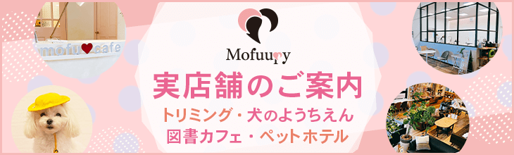 Mofuupy աԡ դʣ