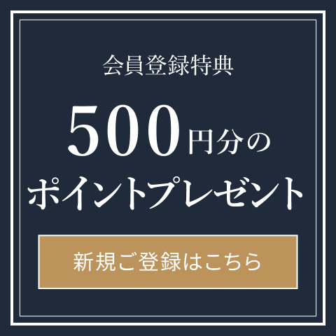 Ͽŵ500ʬΥץ쥼