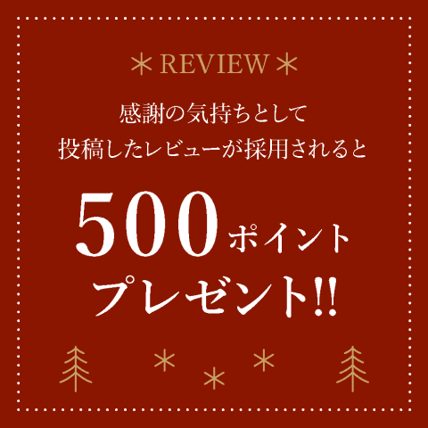 դεȤƤӥ塼Ѥ500ݥȥץ쥼