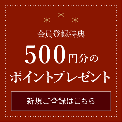 Ͽŵ500ʬΥץ쥼