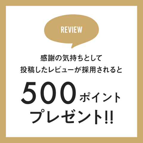 レビュー採用で500ポイントプレゼント