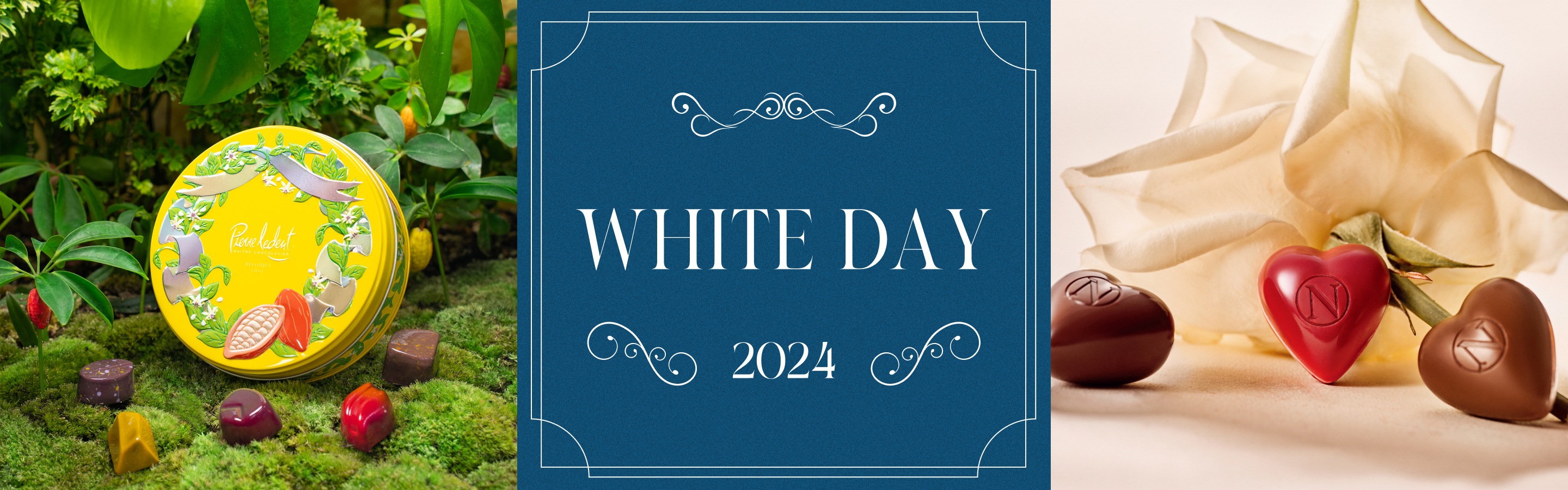whiteDay 2024