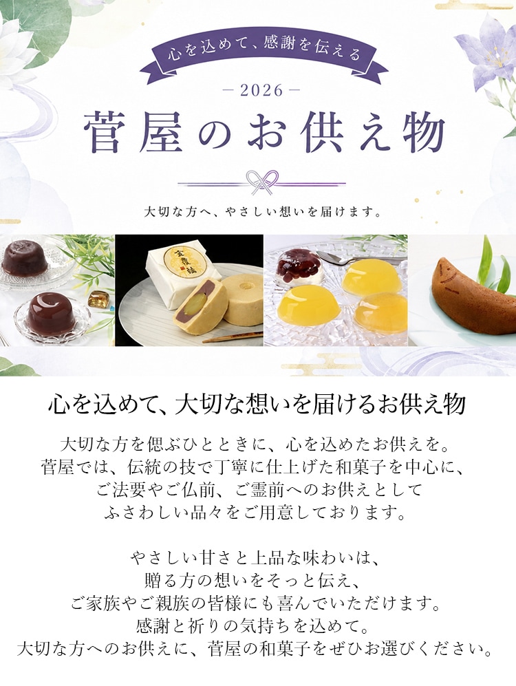 最終価格【賞味期限26.9.7】HIGASHIYA ヒガシヤ 甘夏羹 1本 菓子