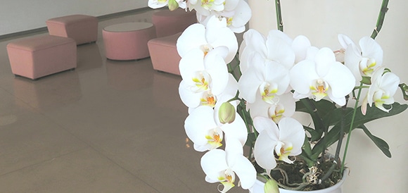 こだわり抜いた素材の写真