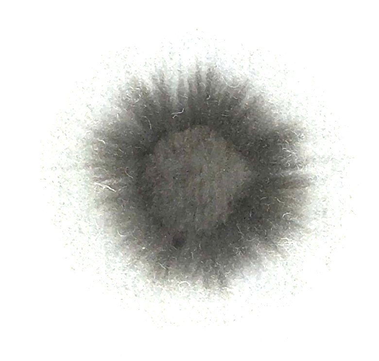 書道紙に墨が滲む様子（線の輪郭アップ）「古鷹★★★」
