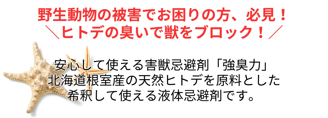 強臭力はヒトデの説明