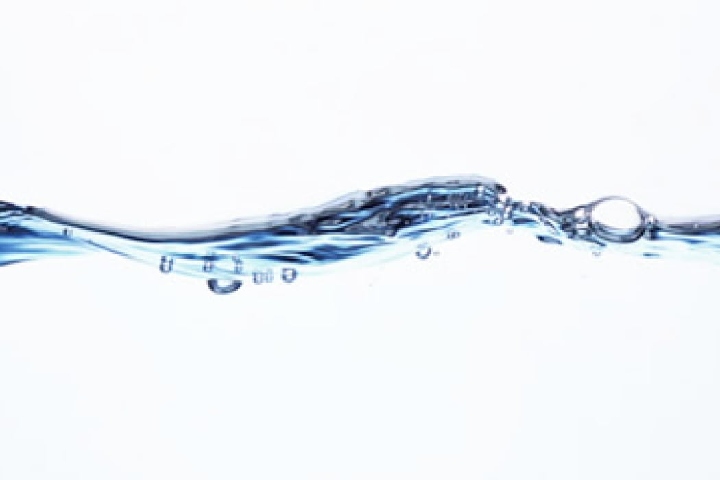 白樺樹液 浸透イメージ