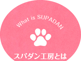 What is spadan