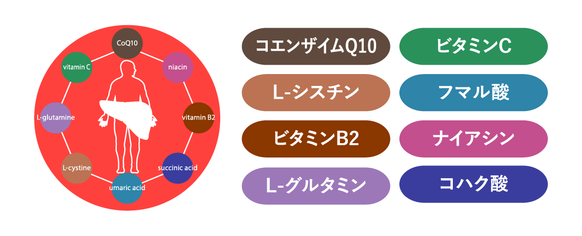 スパリブが選ばれる理由