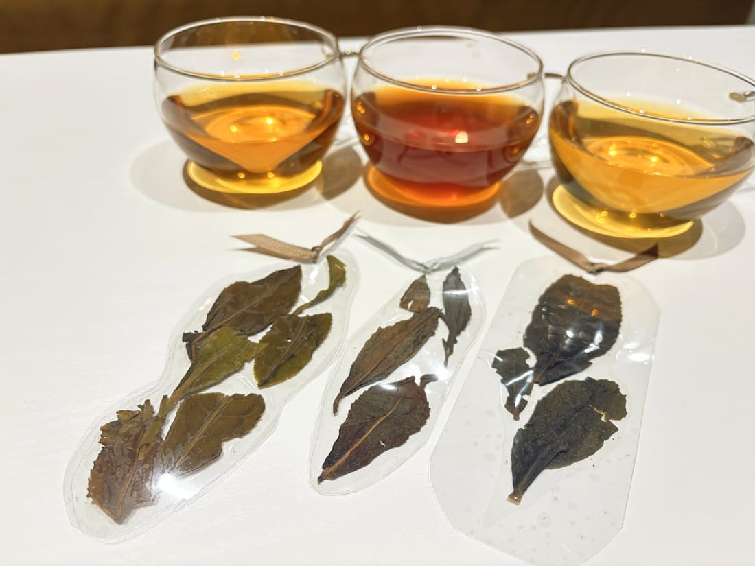 茶殻しおり画像