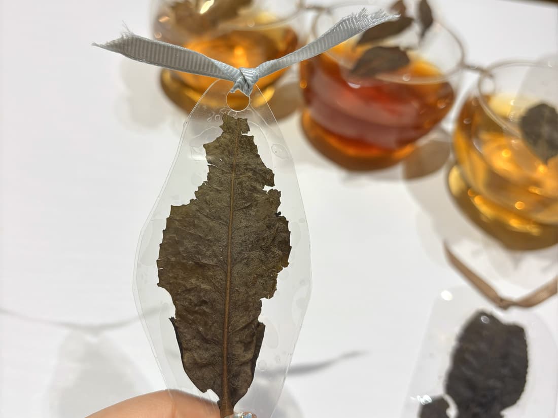 茶殻しおりソロ画像