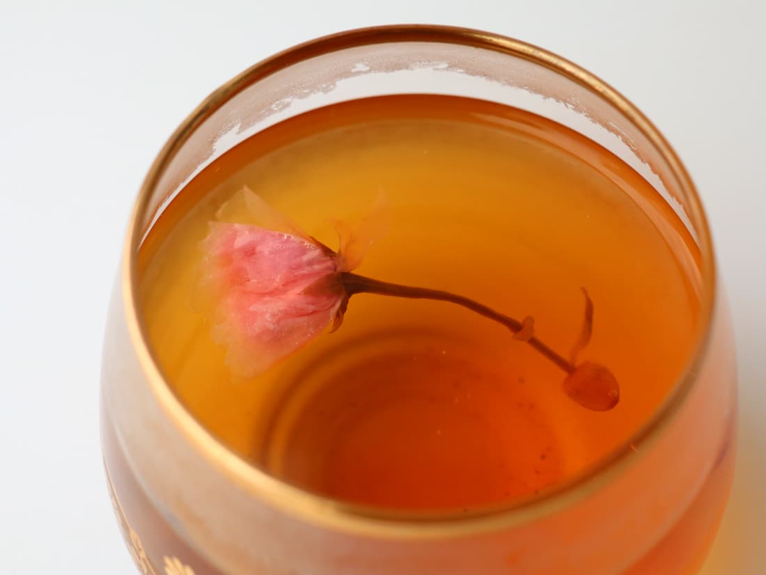 今日はさくらの日MV