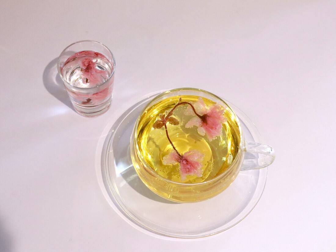 和紅茶の桜スカッシュの画像その2