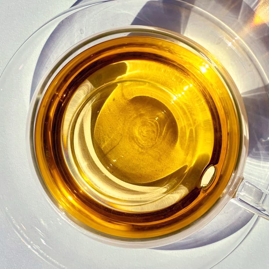 やぶきた実生1st2023グリニッシュ(ロット1)/吉田茶園